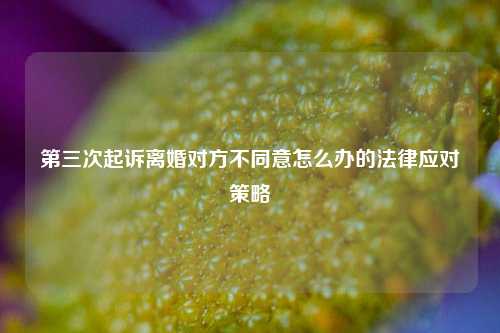 第三次起诉离婚对方不同意怎么办的法律应对策略