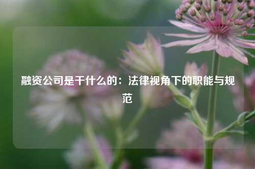 融资公司是干什么的:法律视角下的职能与规范