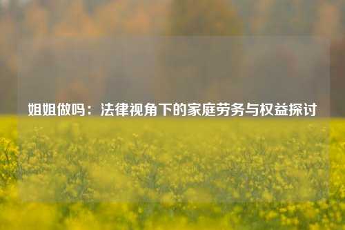 姐姐做吗：法律视角下的家庭劳务与权益探讨