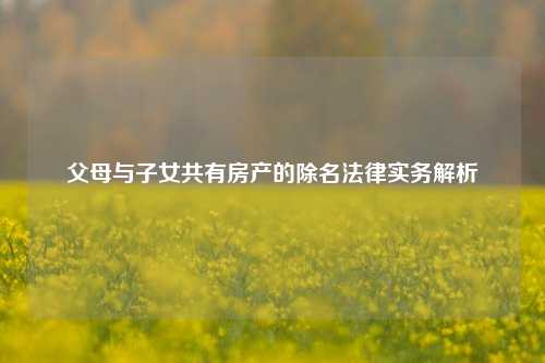 父母与子女共有房产的除名法律实务解析