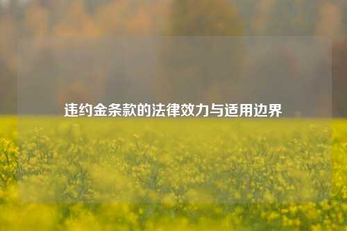 违约金条款的法律效力与适用边界