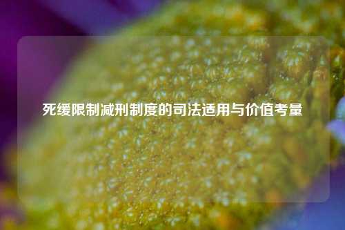 死缓限制减刑制度的司法适用与价值考量