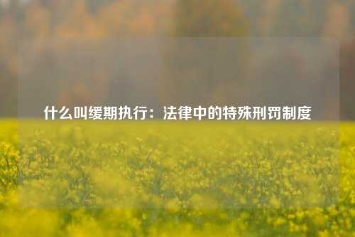 什么叫缓期执行：法律中的特殊刑罚制度
