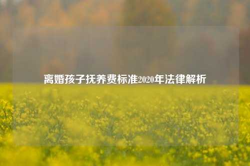 离婚孩子抚养费标准2020年法律解析
