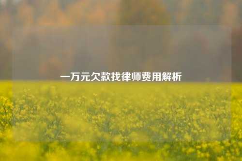 一万元欠款找律师费用解析