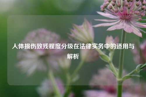 人体损伤致残程度分级在法律实务中的适用与解析