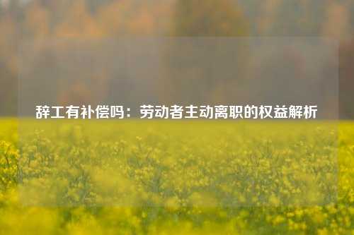 辞工有补偿吗：劳动者主动离职的权益解析