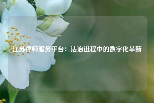 江苏律师服务平台：法治进程中的数字化革新